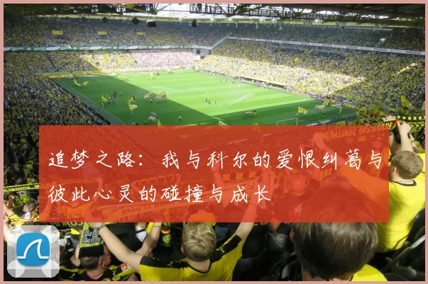 追梦之路：我与科尔的爱恨纠葛与彼此心灵的碰撞与成长