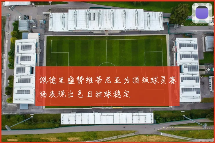 佩德里盛赞维蒂尼亚为顶级球员赛场表现出色且控球稳定