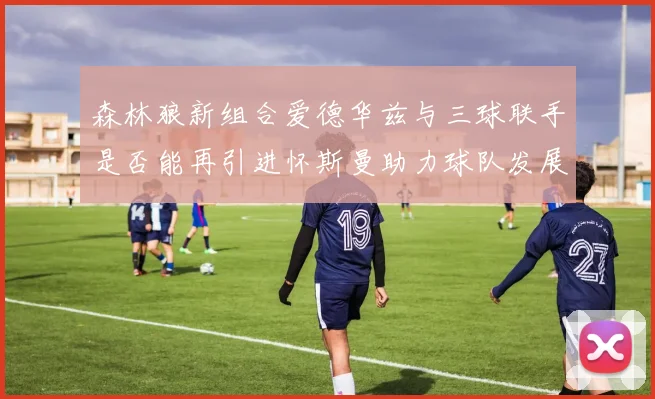 森林狼新组合爱德华兹与三球联手是否能再引进怀斯曼助力球队发展